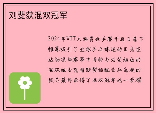 刘斐获混双冠军