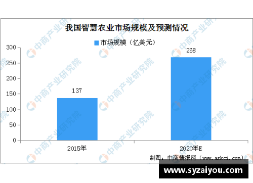 NBA赛事转播策略分析与未来发展展望